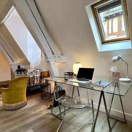 Hyper Centre - L'antiquaire Apartment *