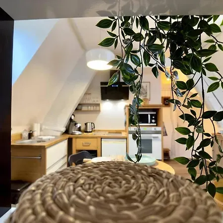 Hyper Centre - L'antiquaire Apartment Rouen
