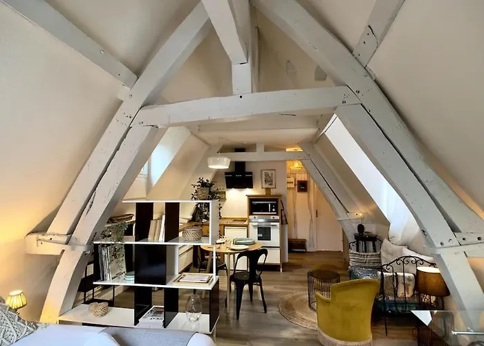 Apartmán Hyper Centre - L'antiquaire